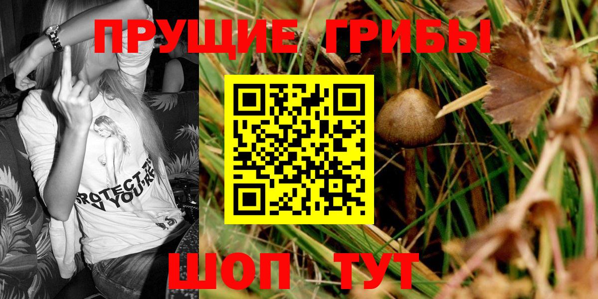Галлюциногенные грибы ЛСД Аргун