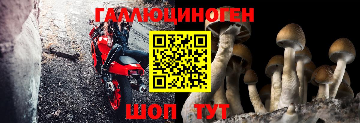 Аргун  Галлюциногенные грибы Magic Shrooms  Галлюциногенные грибы прущие грибы  Вход с VPN 